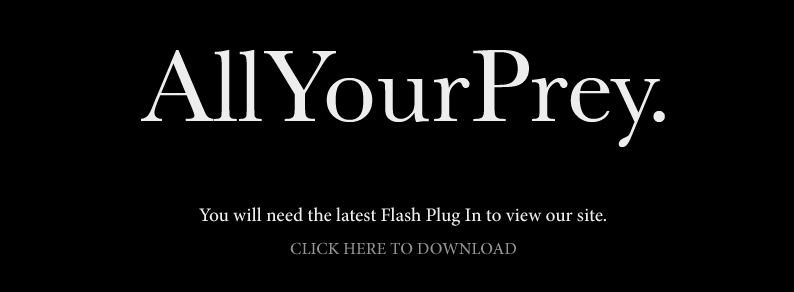 This website requires the latest version of Flash. Click here to download.